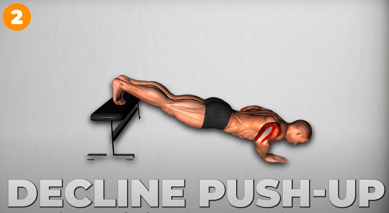 Decline Push-Up Exercises