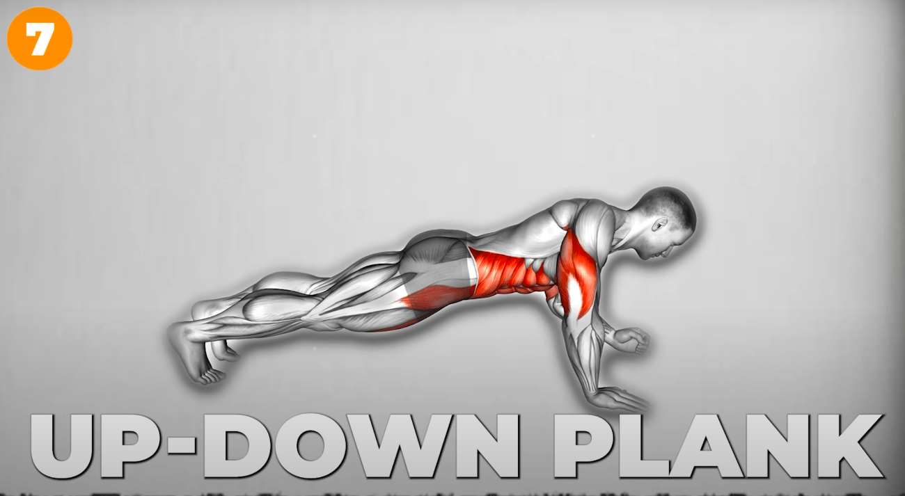 Up-Down Plank Exercises