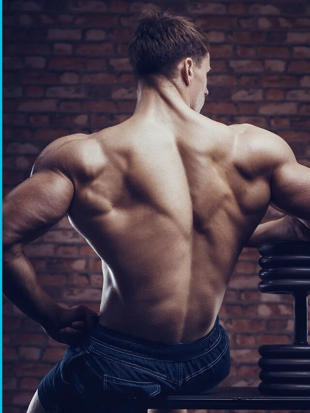 Build a strong back with these 5 killer exercises.